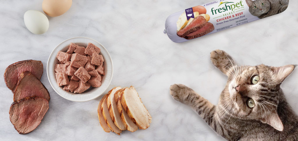 slices of beef, eggs, slices of chicken, Freshpet Select chicken and beef cat food in a bowl, Freshpet Select chicken and beef cat food roll, cat looking up all on a marble texture surface
