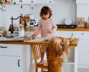 Home Renovation Tips: Keeping Your Kids And Pets Safe