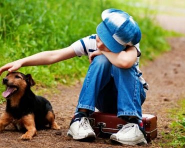 5 Activities to Help Kids Cope with Pet Loss