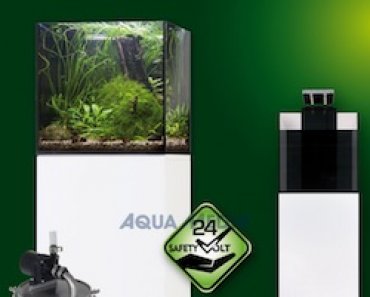 Aquarium Ratgeber, Service & Tipps aquaPro2000