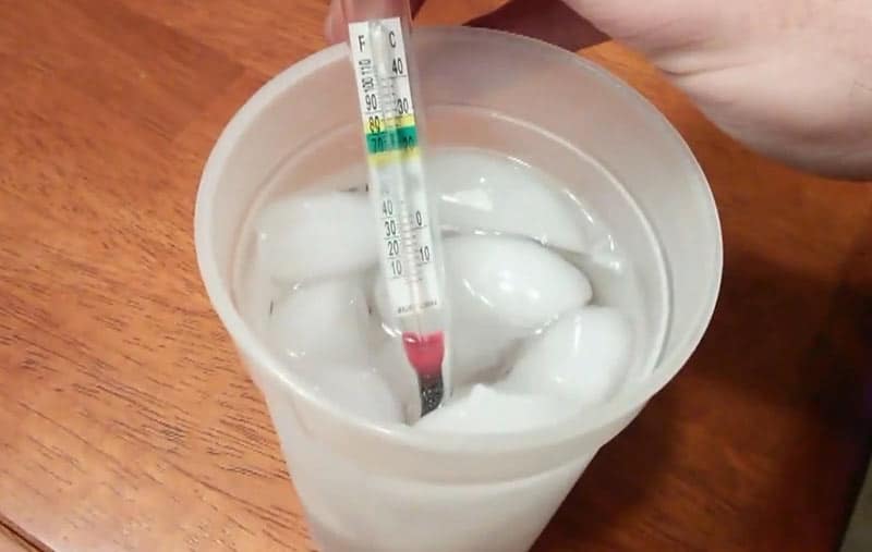 place thermometer into ice