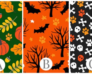 Help Us Choose a Fall Fabric!
