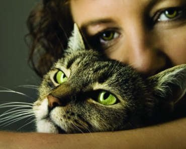 Helping more animal victims of domestic violence