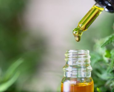 Hemp oil for pets — making sense of different types