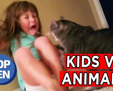Top 25 Kids vs. Animals Moments | Ultimate Funny Pets Fails Compilation March 2018 | Top 10 Daily
