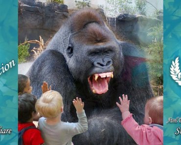 animals-scaring-kids-at-zoo-animals-love-to-scare-cute-kids