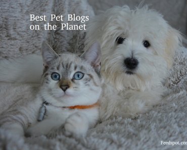 Top 100 Pet Blogs And Websites For Pet Owners & Lovers in 2020