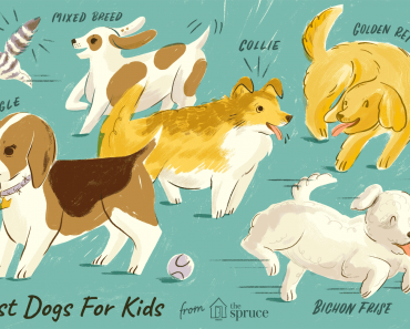 Best Dog Breeds for Kids and Families