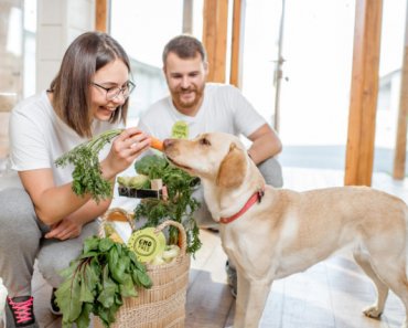 Top in-season fruits and veggies you can share with your dog