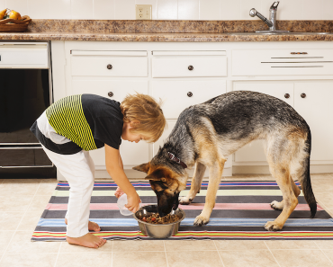 What Are Ancient Grains and Should Your Dog Be Eating Them?