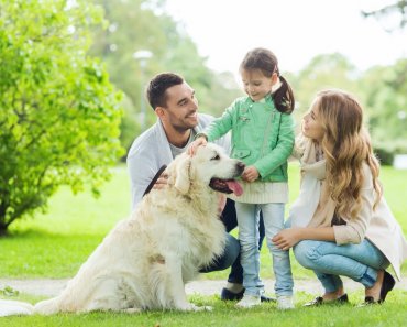 10 Tips for Introducing Children To New Dogs — Rural Dog Rescue