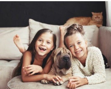 Better Sofa Fabric Choices for Your Sofa to :Last with Kids and Pets
