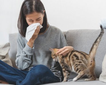 Are you allergic to your cat?