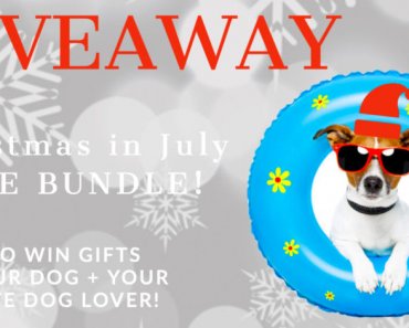 Christmas in July Giveaway–Over $550 in prizes!