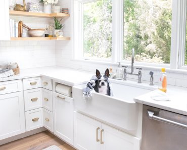 My Five Favorite Tips for Keeping a Cleaner Home with Dogs (and Kids!)