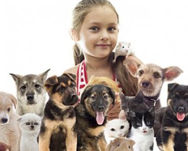 Pets Can Help Kids with Autism Improve Social Skills