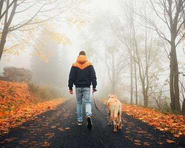 75 Ways to Be a Responsible Dog Owner — American Kennel Club