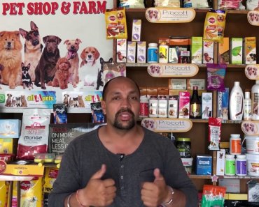 Pet Care – Dog heat Sign & Mating Tips – Bhola Shola