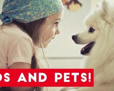 the-funniest-pets-meet-the-cutest-kids-babies-of-2017-weekly-compilation-funny-pet-videos