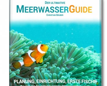 Guide – Schritt für Schritt zum Meerwasseraquarium