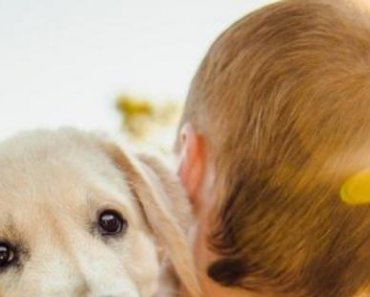 Pet Parenting Tips: 6 Things that can poison your dog