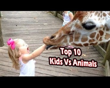 top-10-kids-vs-animals-moments-ultimate-funny-pets-fails