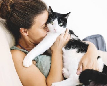 Owning pets good for your wellbeing