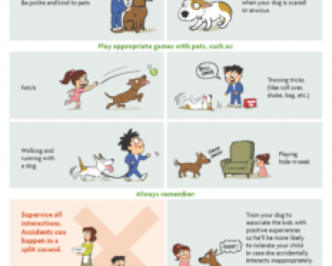 Kids and Dogs: How Kids Should and Should Not Interact with Dogs