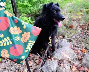 Are You Ready for Fall Dog Walks? #GIVEAWAY