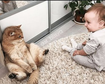 a-cute-baby-and-a-cat-a-baby-and-a-cat-play-extremely-funny