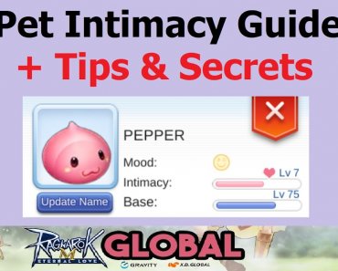 ragnarok-m-pet-intimacy-guide-tips-secrets-to-get-lv10-quicker-ragnarok-m-eternal-love