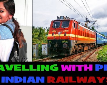travelling-with-pet-in-indian-railways-detailed-information-and-tips-by-indian-petmom