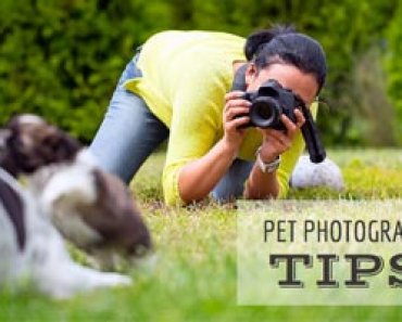 6 Foolproof Pet Photography Tips