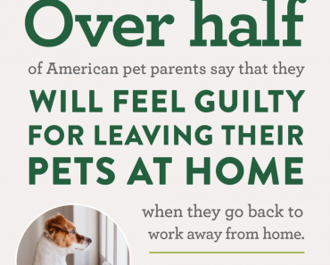 Pets, People, Pandemic – Our New Poll Reveals How the Pandemic is Impacting Pet Parenting