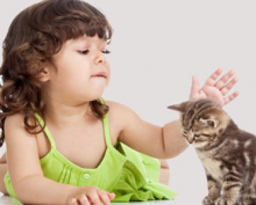 5 Tips for Teaching Your Kids How to Properly Handle a Cat