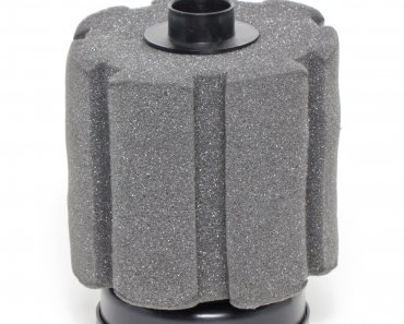 Sponge Filter or Power Filter? Which Is Best For Your Tank