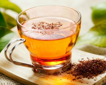 The benefits of rooibos tea for dogs