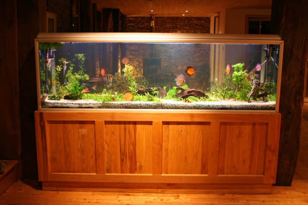 front view of 55 gallon fish tank during at night