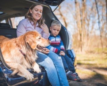 How to Road Trip Safely With Your Dog