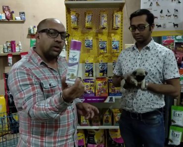 Pet care – Live Demo give Pug | Dog | Puppy | Tips | First Time Owner – Bhola Shola | Harwinder