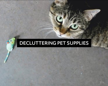 Pet Supply Declutter + Tips