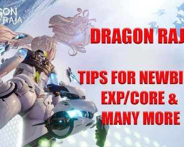 Dragon Raja : TIPS FOR BEGINNERS | CORE | PET | ENHANCEMENT