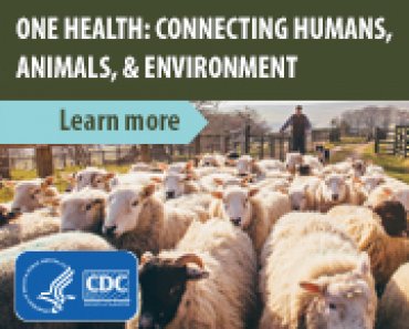 Healthy Pets, Healthy People | CDC
