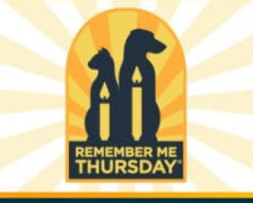 Remember Me Thursday Honors Shelter Pets–Don’t Miss #RememberMeThursday Contest