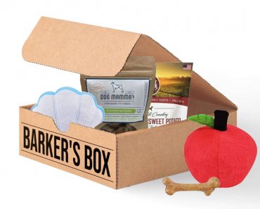 Win a Barker’s Box For Your Dog!