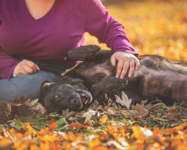 3 Ways to Build a Bond with Your Dog