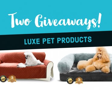 Enter TWO Giveaways from Luxe Pet Products!
