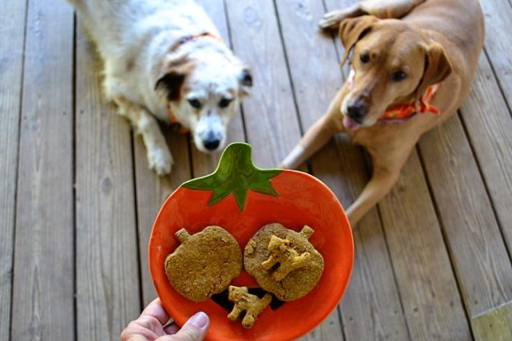 Peanut Butter and Pumpkin Dog Treats