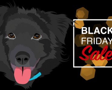 Special Black Friday Savings NOW!