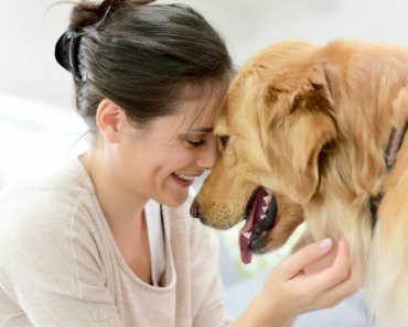 How Canine Biologics’ nutrition system supports dogs with cancer 